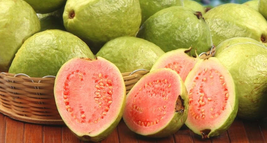 25 Fruits of Madeira Island - Guava